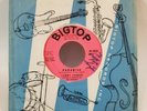 Sammy Turner PARADISE  (SIGNED SOUL 45) #3032 PLAYS STRONG VG+ TO VG++