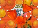 Brian Wilson That Lucky Old Sun Ltd. Edition 180 Gram Vinyl -Still Sealed New