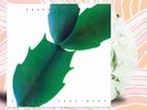 Hiroshi Yoshimura - Green - Japanese Minimal Ambient New Age - Swirl Vinyl - New