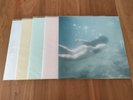 Ichiko Aoba 5 Title LP Luxury Set Otome, Hair, 0 ZERO, Utabiko, Adan's Wind