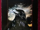 Disque Vinyl 33T  The Stranglers ‎– The Raven 11 titres 1979  très bon état