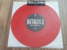 Metallica Until It Sleeps 10