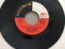 Lenny Welch - A Hundred Pounds of Pain - Mainstream MRL 5560 1974 Promo EX