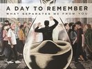 A Day To Remember - What Separates Me From You (NM-) RARE Clear w/ Smoke /265