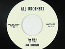 Funk 45 - Ann Robinson/Freedom Now Brothers - You Did It - All Bros reissue VG++