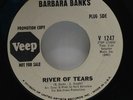 Barbara Banks-River Of Tears/Living In The Past-Veep 1247-NORTHERN SOUL SUPER