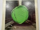 METERS Cabbage Alley REPRISE LP VG+ **