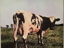Pink Floyd ATOM HEART MOTHER LP MFSL MoFi MOBILE FIDELITY Vinyl LP VG 2753