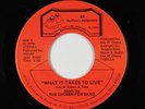 Modern Soul 45 - Chosen Few Band - What It Takes To Live - BR - VG+ mp3