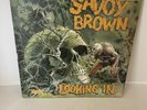Savoy Brown Looking In LP Decca SKL 5066 UK First Press Vinyl Vintage Record VG