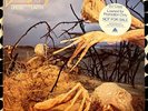 Dixie Dregs ‎– Dregs Of The Earth - Arista ‎– AL 9528 - 1980 - DJ PROMO COPY