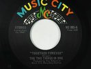 Sweet Soul/Funk 45 - Two Things In One - Together Forever - Music City VG++ mp3