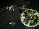 White Ward - Futility Report - LP tri colour vinyl with insert