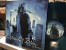 Children Of Bodom   Follow The Reaper   2 LP   Teal Vinyl   Alexi   Metal