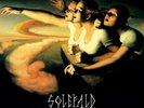 Solefald-Linear Scaffold The (UK IMPORT) VINYL NEW