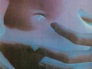 INSIDES - Euphoria (reissue) (Record Store Day 2019) - Vinyl (LP)