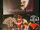 TY TABOR-MOONFLOWER LANE + POUNDHOUND-MASSIVE GROOVE BLACK VINYL RECORD King's X