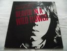 NICK DRAKE   AN EXPLORATION OF - HEAVEN IN A WILD FLOWER ** 1985 ISLAND LP