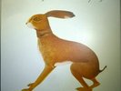 Vashti Bunyan: Lookaftering  Fatcat Records FATLP38 - gatefold sleeve.