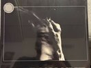 Rollins Band - Hard Volume LP - Fringe Henry Rollins SEALED GRAY VINYL US SELLER