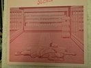 LOS CAMPESINOS -SICK SCENES-180gram Lp Wichita Recording LTD-W/Poster 2017