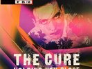 The Cure 3LP Vinyl Limited 50 Copies Desintegration