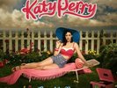 Katy Perry - One Of The Boys  (Double LP Vinyl)  sealed