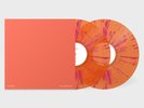 Goose Ted Tapes 2021 First Pressing Limited Edition Vinyl Edition New not Phish
