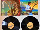 Masayoshi Takanaka THE RAINBOW GOBLINS Vinyl LP Record Fusion City Pop Japan