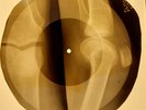 Jackson 5 - I Want You Back  X-RAY OF THE USSR X-RAY BONES RECORD