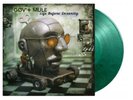 Gov't Mule - Life Before Insanity Transparent Green Black Swirled 2 Vinyl LP NEU