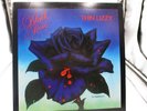 Thin Lizzy Black Rose A Rock Legend LP 1979 W.B. BSK 3338  NM Ultrasonic Clean