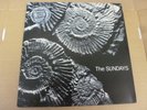 THE SUNDAYS  READING, WRITING AND ARITHMETIC PICTURE DISC LP ROUGH TRADE 148P EX