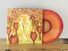 The Sunlandic Twins by of Montreal SEALED RED/ORANGE SWIRL Deluxe Edition