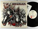 Tex & The Horseheads - S/T LP - Enigma VG+ Fanzine