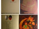 LP Banco Del MUTUO SOCCORSO Donna Plautilla. trasparente