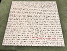 Explosions In The Sky The Earth Is Not A Cold Dead Place (2011, x2 LP)