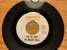 LOUISIANA GARAGE 45 ROAMIN TOGAS BAR THE DOOR LIGHTNING 101 NICE VG+