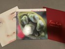 Fiona Apple Extraordinary Machine 2x Vinyl LP gently used, 2011, Super Rare OOP