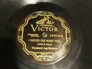 HOT JAZZ DIXIELAND JUG BLOWERS Victor 20854 Never Did Want You E++ (NR MINT)