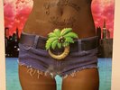 Yerba Buena - Island Life - Vinyl 2 LP Record SEALED  2005 Razor & Tie