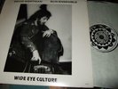 DAVID WERTMAN SUN ENSEMBLE : WIDE EYE CULTURE PROMOTIONAL COPY LP 1983 SUNMUSE