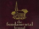 BUTTHOLE SURFERS /  DROWNING POOL - FUNDAMENTAL HYMNAL NEW VINYL