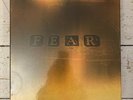 MARILLION F.E.A.R. 12