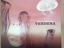 Verdena Solo Un Grande Sasso Vinyl Beard of Stars Records Italy limited