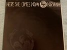 Nirvana / The Melvins and Buzzo 'Here She Comes Now' 