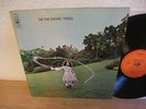 TREES ON THE SHORE 1970 FOLK ROCK LP 1st UK PRESS Mint- RAR