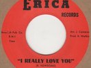 Jimmy Burns I Really Love You Erica Soul Northern Motown