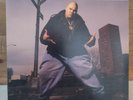 Fat Joe Da Gangsta 