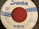 Beatles - She Loves You / I’ll Get You - Swan S-4152-1 - BLUE INK  RARE 45 HEAR